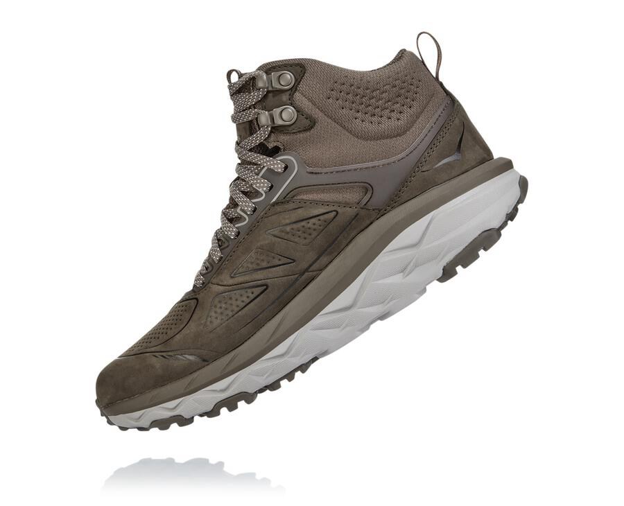 Hoka One One Challenger Mid Gore-Tex Vandringsskor Dam - Bröst - PTHAY-2510